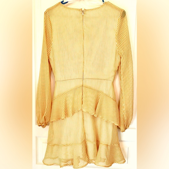 Leith Pinstripe Long Sleeve Faux Wrap Ruffle Flounced Chiffon Mini Dress. - Picture 4 of 8